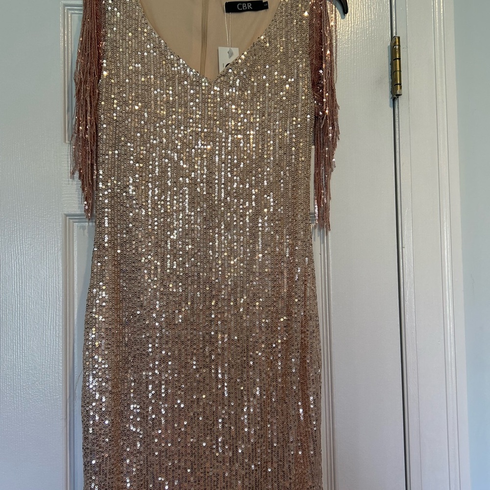 CBR Rose Gold Sequin Fringe Dress